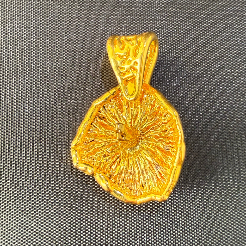 Gold Dipped Boomer #3