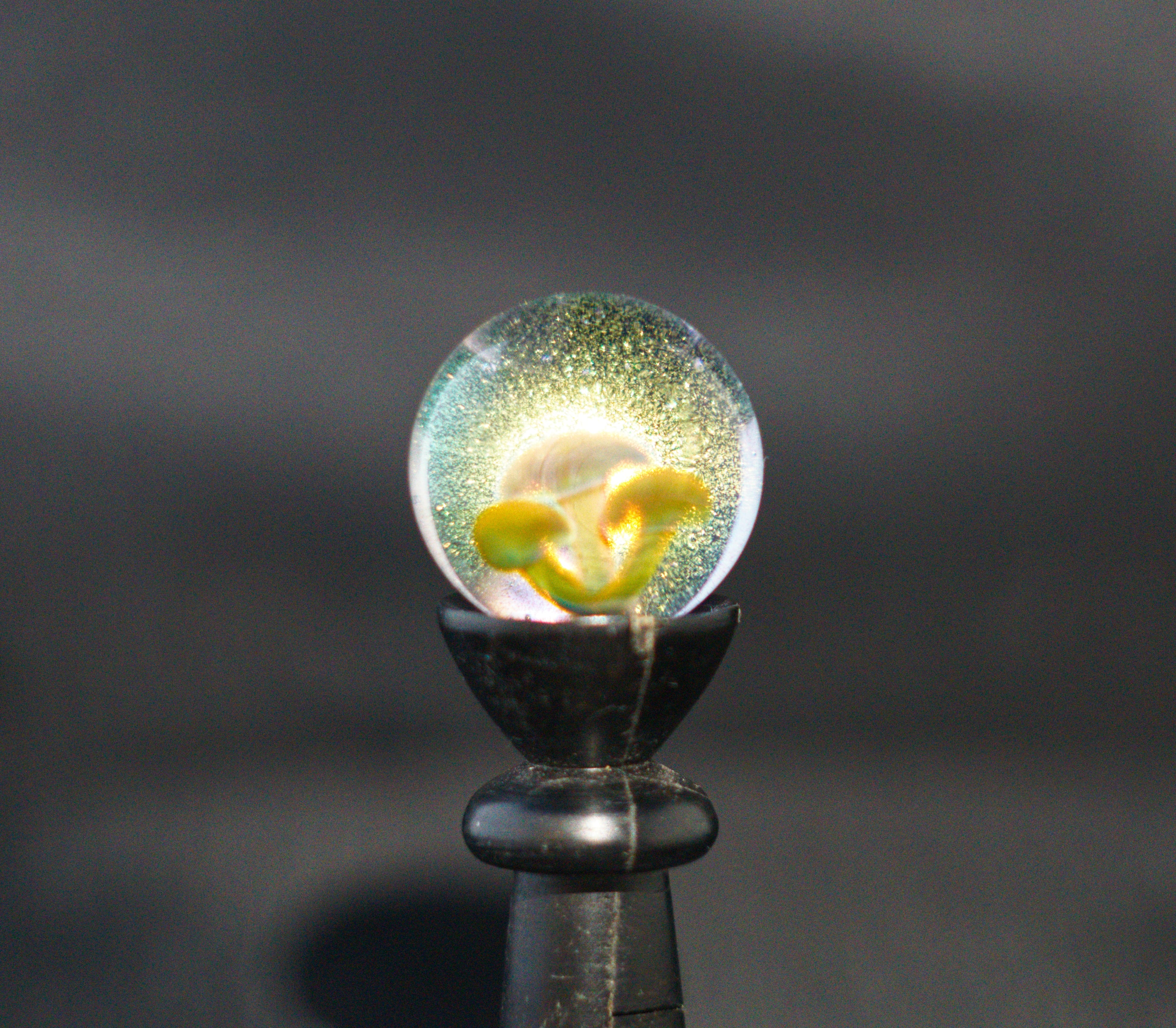 Triple Mushie Marble 31mm